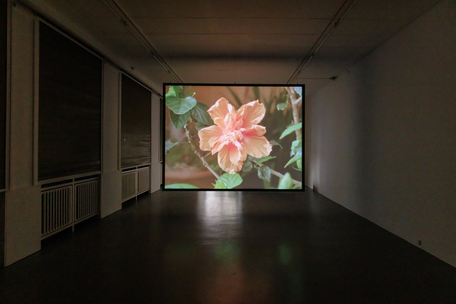 Miryam Charles - Atlas for the Disappeared, Ausstellungsansicht, 2025 © basis e.V., photo: Bernd Euring