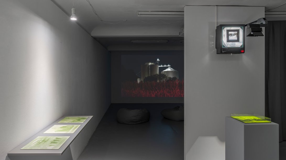 Kaya & Blank, Bloom, Ausstellungsansicht, basis e.V., © Kaya & Blank