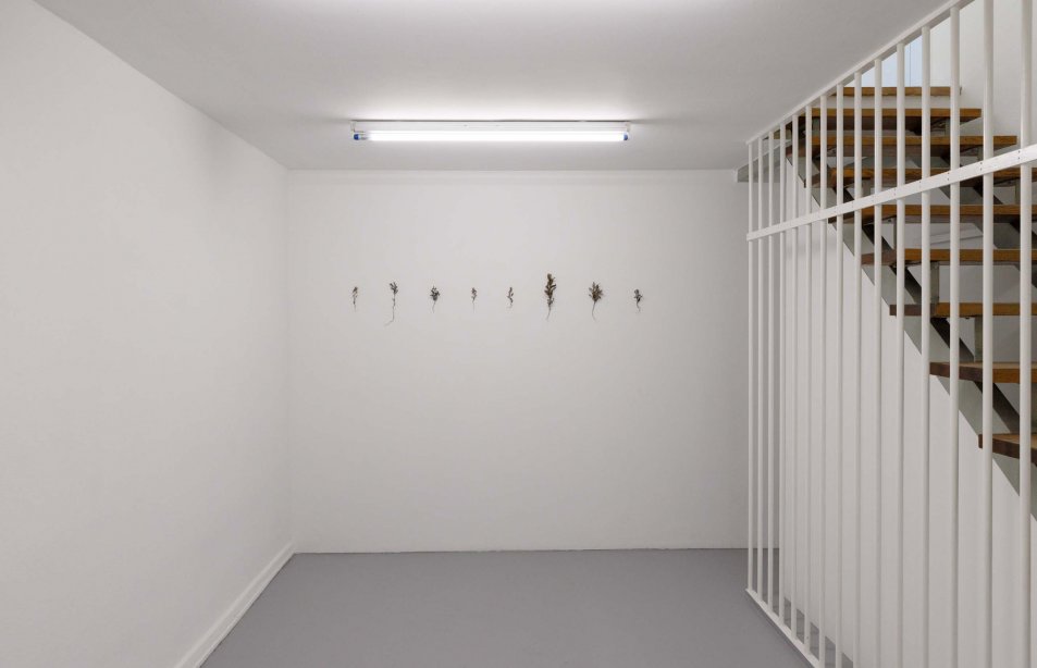 Ella Littwitz, Bnei Adam (humans), 2022, installation view basis e.V., 2023, Courtesy the artist and Harlan Levey Projects, Brussels, photo: Bernd Euring