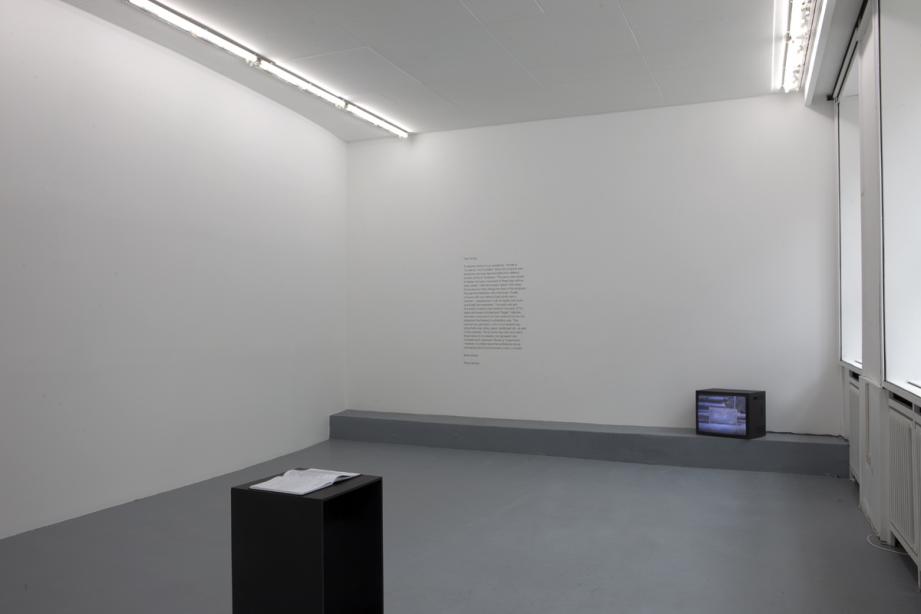 Installation view, Sonia Leimer, Locations (2010), Courtesy Galerie nächst St. Stephan Wien, photo: Cem Yücetas