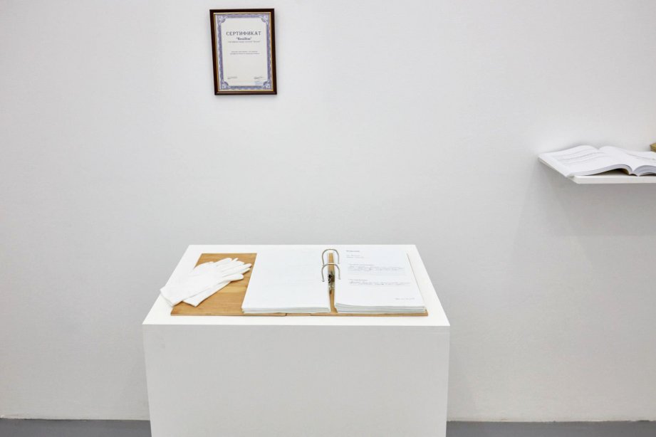 Bouillon Group, What is the meaning of Vladikavkaz and who is Vladimir?, 2015, basis, installation view, 2018