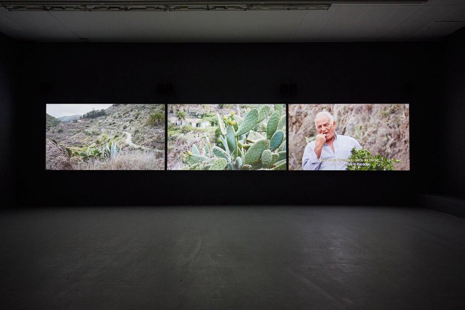 Installation View, The Calling, 2013-2014, basis 2017, photo: Günther Dächert, Courtesy of the artist and Anna Schwartz Gallery, Melbourne; and Galerie Allen, Paris