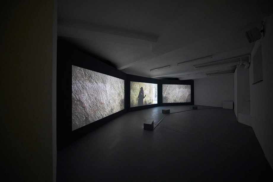 Installation View, In the Ear of the Tyrant, 2014, basis 2017, photo: Günther Dächert, Courtesy of the artist and Anna Schwartz Gallery, Melbourne; and Galerie Allen, Paris