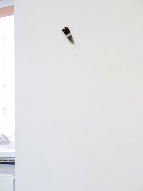 Shia Yih Yiing, Ausstellung "the mundane carries intensity and turbulence", basis, 2025, Foto: Katrin Binner, © basis e.V.