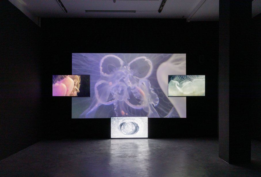 Florencia Levy, Fossil Place (Filmstill), 2019, installation view, Foto: Katrin Binner